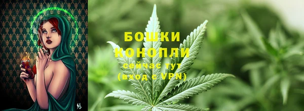 амф Белоозёрский