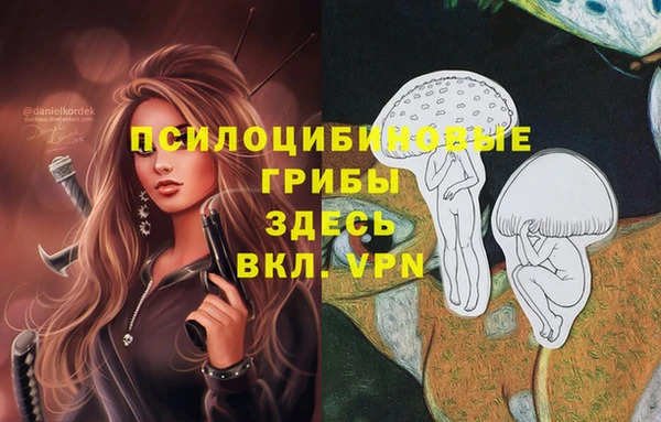 амф Белоозёрский