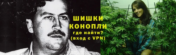 PSILOCYBIN Пестово