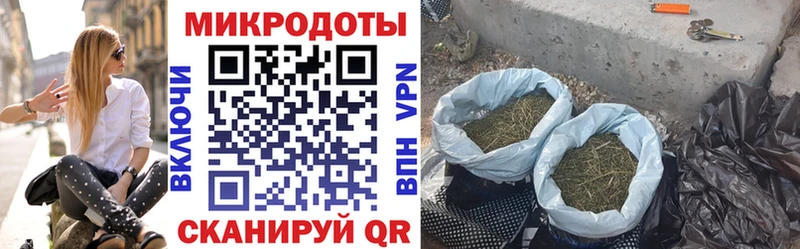 Псилоцибиновые грибы MAGIC MUSHROOMS  Купить где  Ардатов 