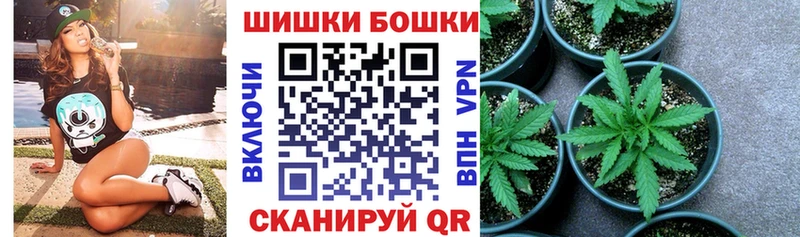 Канабис конопля  Купить  Ардатов 